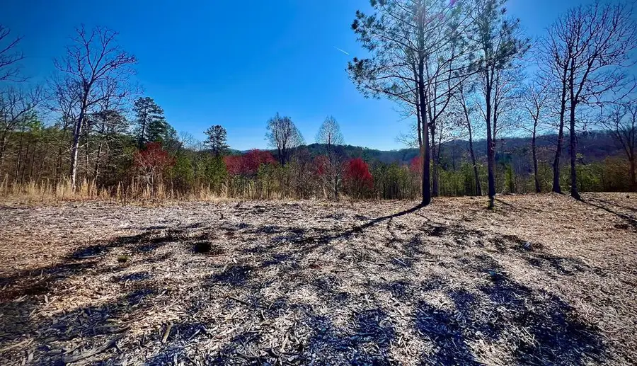21 Arbor Creek Trail, Mineral Bluff, GA 30559 - Image #2