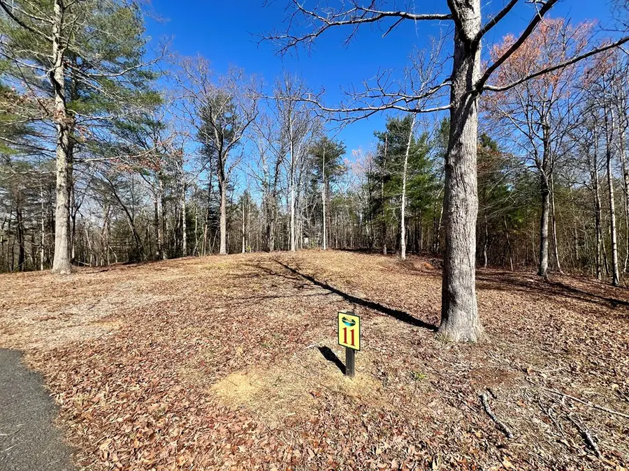 Address Withheld By Seller, Mineral Bluff, GA 30559 - Image #3