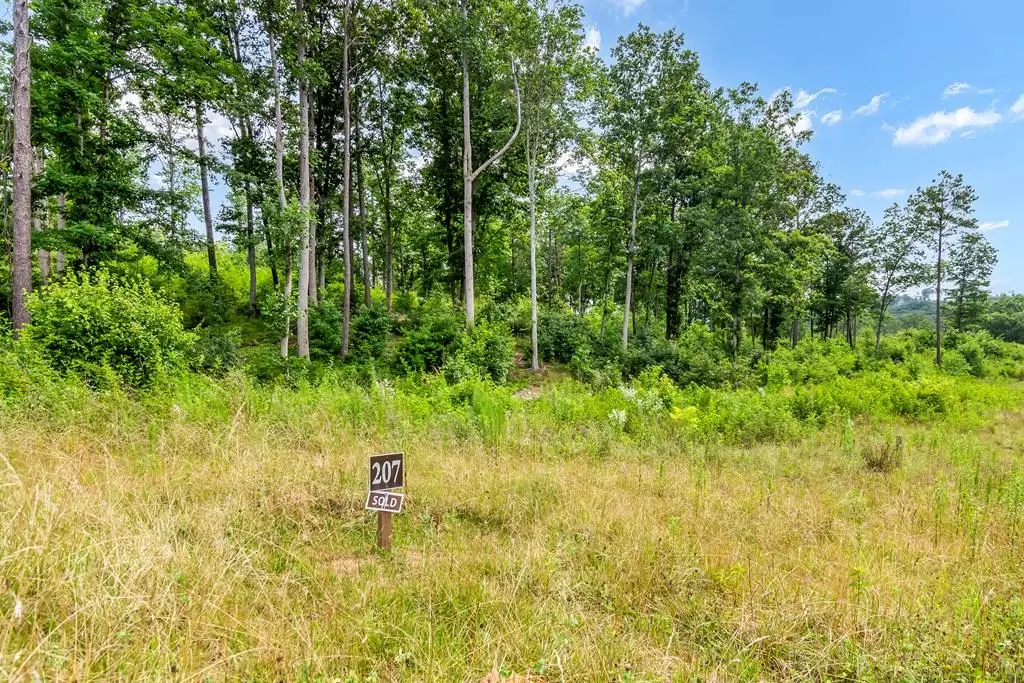 Lot 207 Oak Park Drive, Talking Rock, GA 30175 - #1
