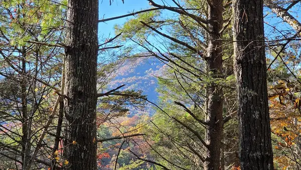 38 AC Tumbling Creek Road, Copperhill, TN 37317