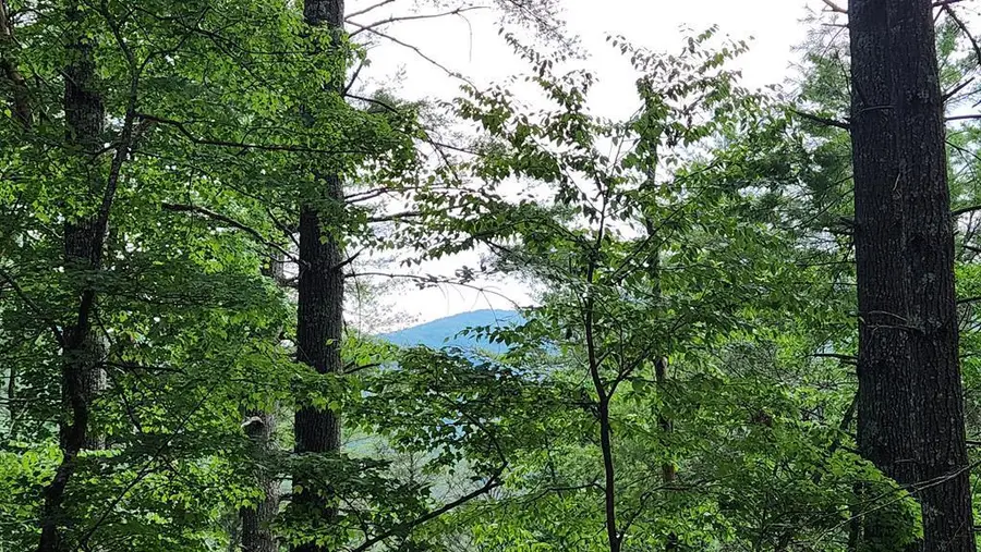 38 AC Tumbling Creek Road, Copperhill, TN 37317 - Image #3