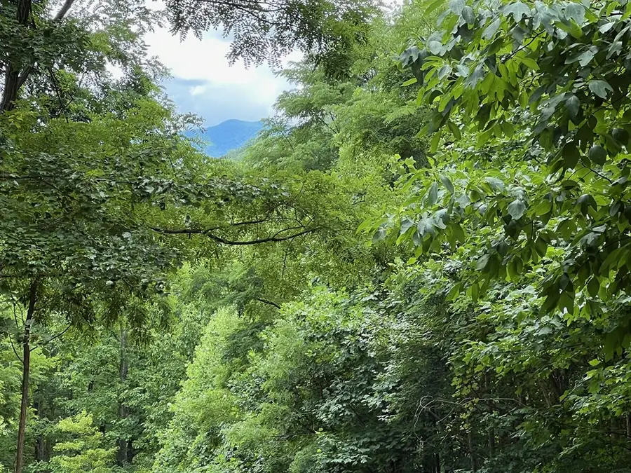 00 Overlook Drive, Young Harris, GA 30582 - Image #2