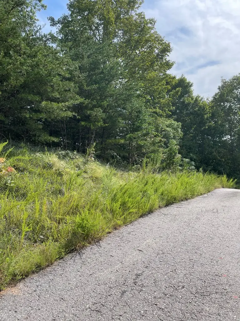 380 Sterling Point, Murphy, NC 28906 - Image #2