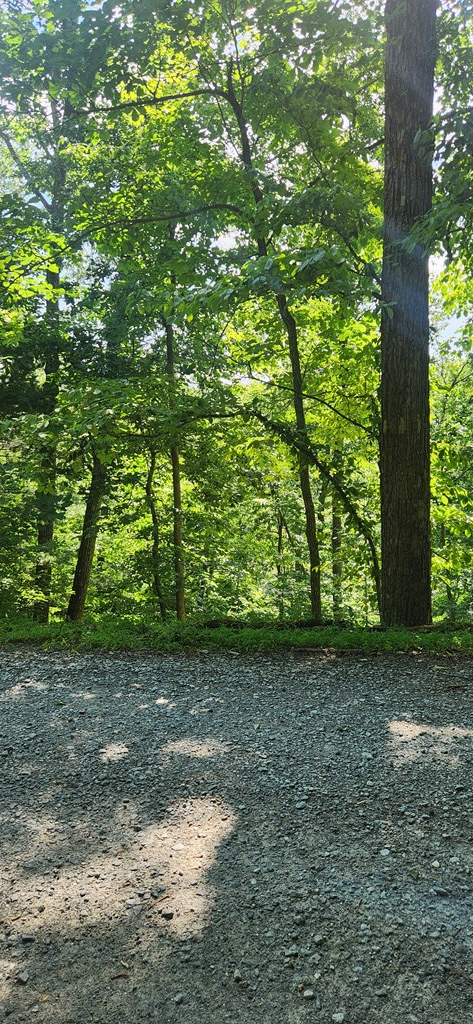 0 Mohawk Trail, Ellijay, GA 30540 - Image #2