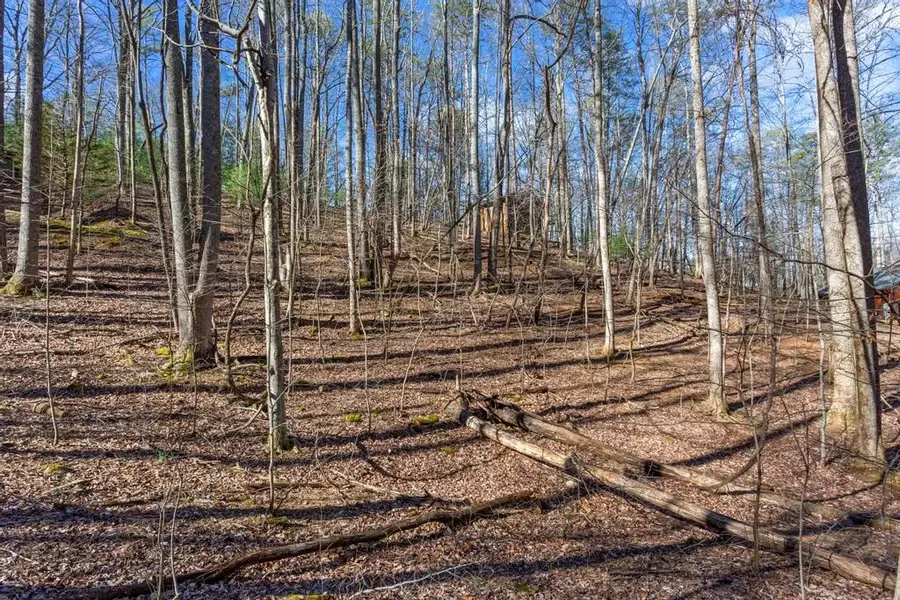 0 Sleepy Hollow Road, Ellijay, GA 30536 - Image #3