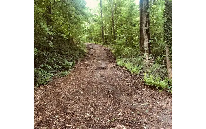 LT 16 Omega Way, Hiawassee, GA 30546 - Image #2