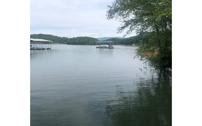 LT 16 Omega Way, Hiawassee, GA 30546 - Image #3