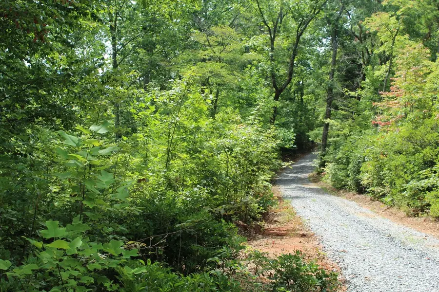 2 Gabriel Ridge #Parcel 2, Hayesville, NC 28904 - Image #2