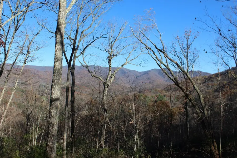 4 Gabriel Ridge #Parcel 4, Hayesville, NC 28904 - Image #3