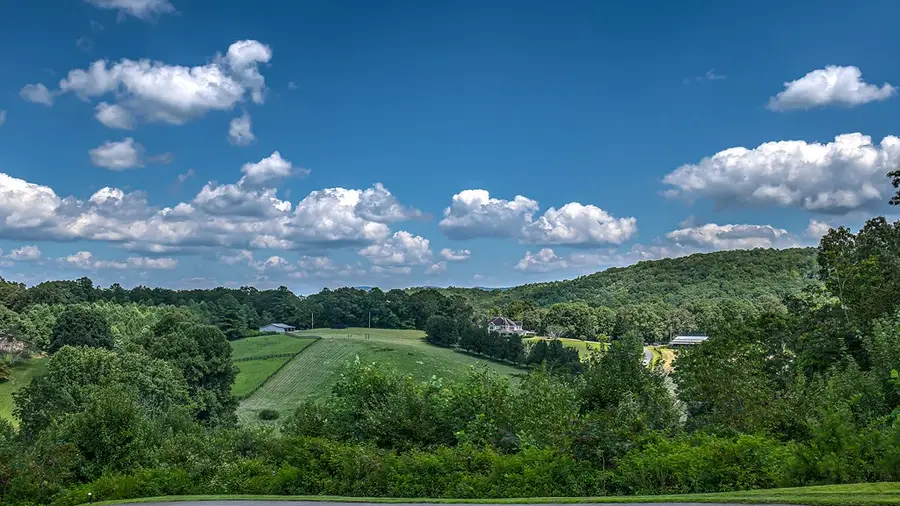 2740 Aska Road, Blue Ridge, GA 30513 - #3