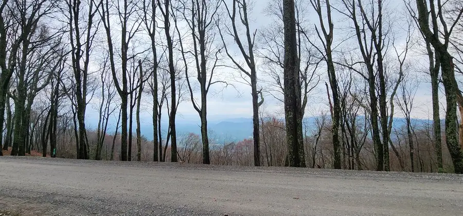 9 Wilderness Creek Way, Murphy, NC 28906 - #3