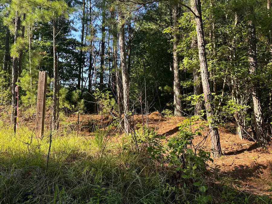 248 Ash Road, Copperhill, TN 37317 - Image #2