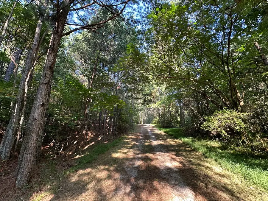 248 Ash Road, Copperhill, TN 37317 - Image #3