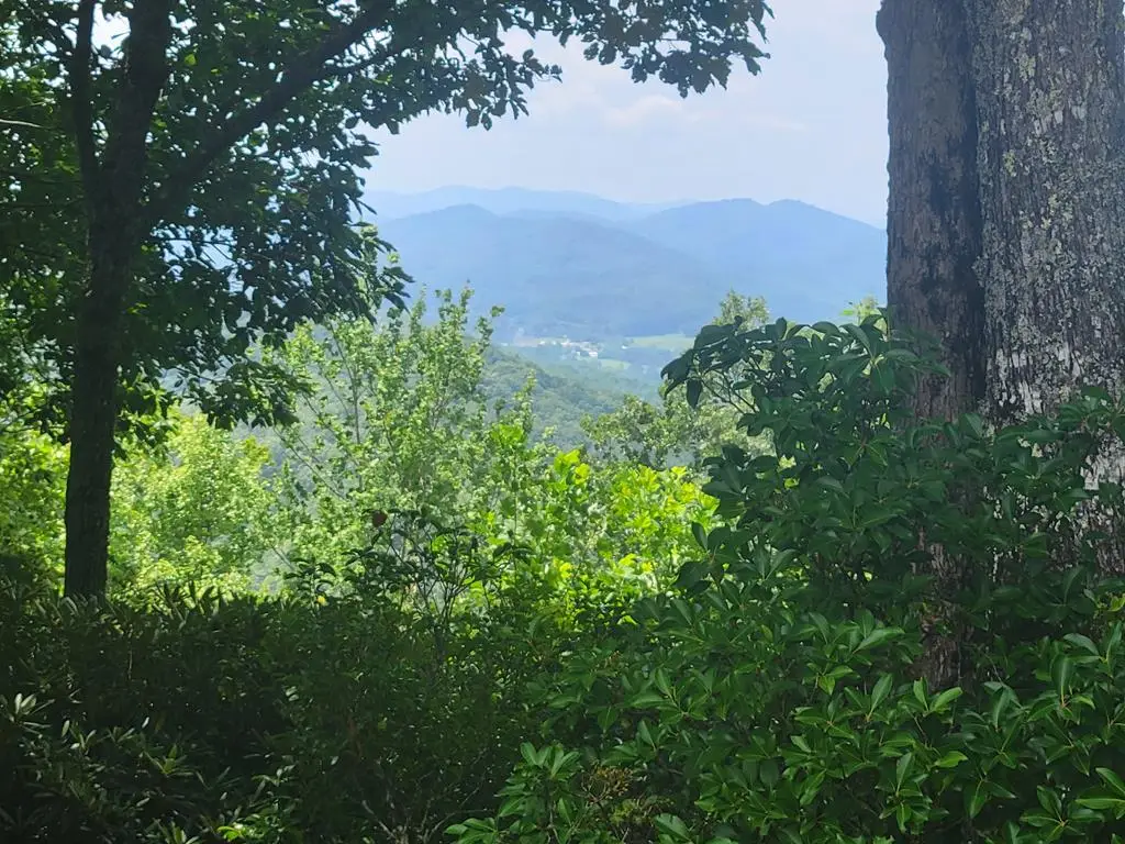Lot 24 Double Knob Drive E, Hayesville, NC 28904 - Image #1