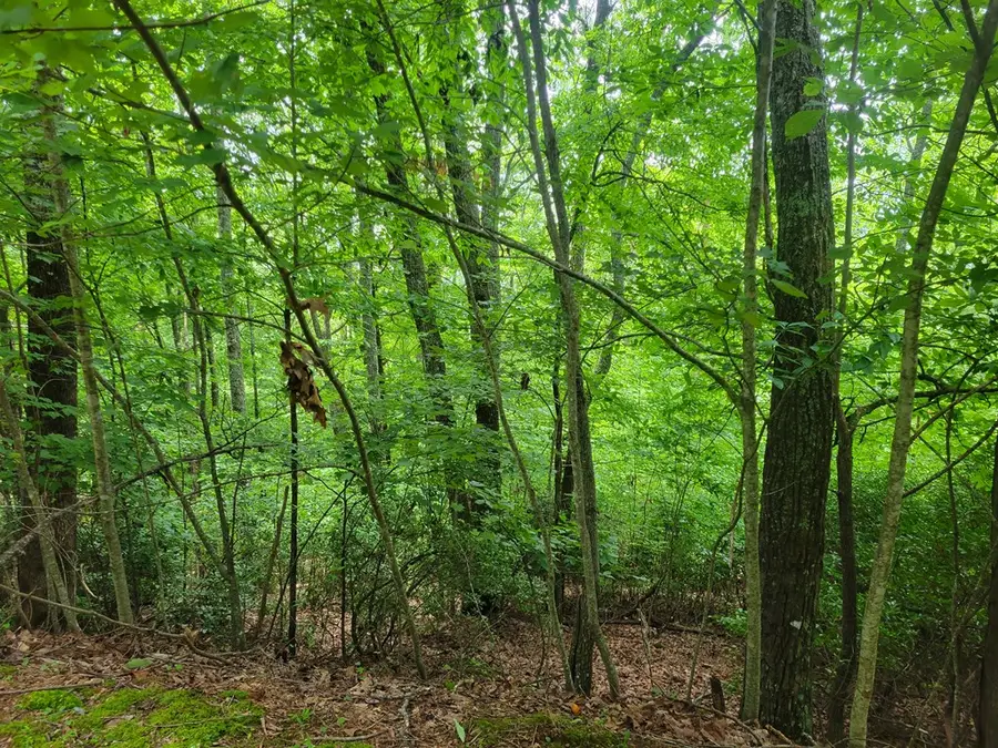 Lot 24 Double Knob Drive E, Hayesville, NC 28904 - Image #2