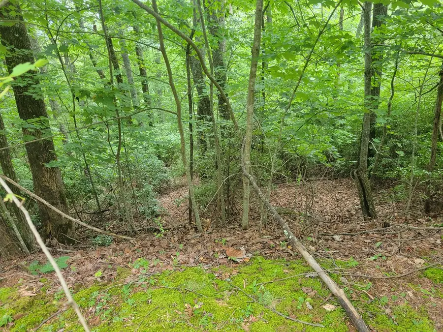 Lot 25 Double Knob Drive E, Hayesville, NC 28904 - Image #2