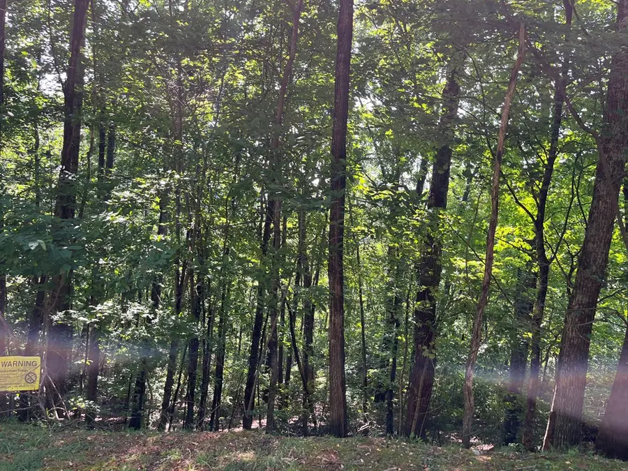 Lot #26 Double Knob Drive E, Hayesville, NC 28904 - Image #2