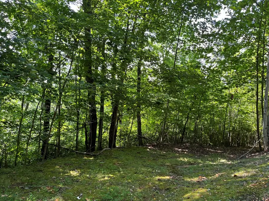 Lot #26 Double Knob Drive E, Hayesville, NC 28904 - Image #3