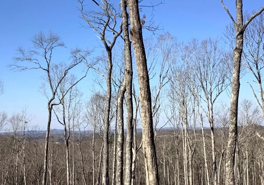 68 High Summit Dr, South Gilmer, GA 30175 - Image #2