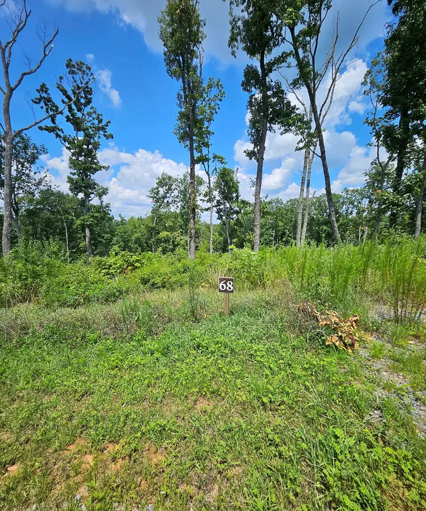 68 High Summit Dr, South Gilmer, GA 30175 - Image #3