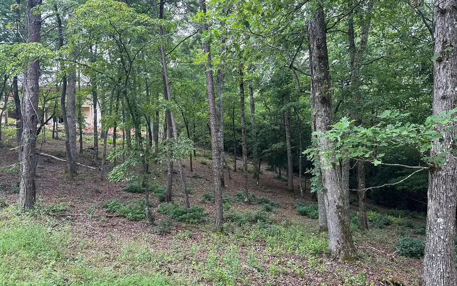 Lot 20 Brasstown Trails, Brasstown, NC 28909 - Image #3
