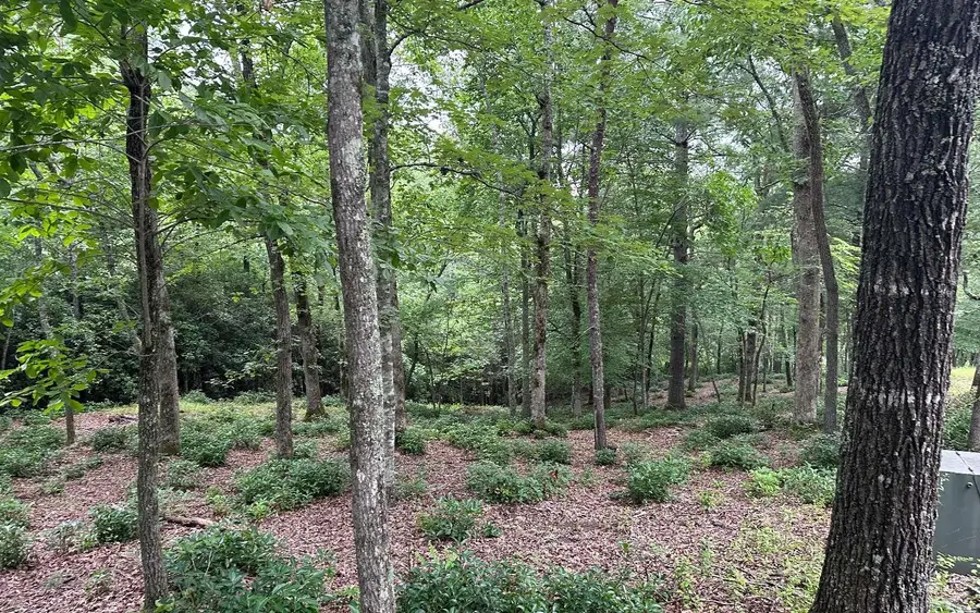 Lot 21 Brasstown Trails, Brasstown, NC 28909 - Image #2