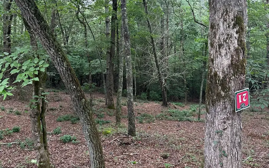 Lot 21 Brasstown Trails, Brasstown, NC 28909 - Image #3