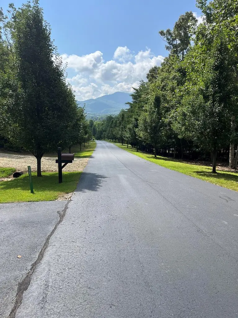 Lot 55 Ray Drive, Young Harris, GA 30582 - Image #2