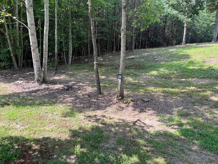 Lot 55 Ray Drive, Young Harris, GA 30582 - Image #3