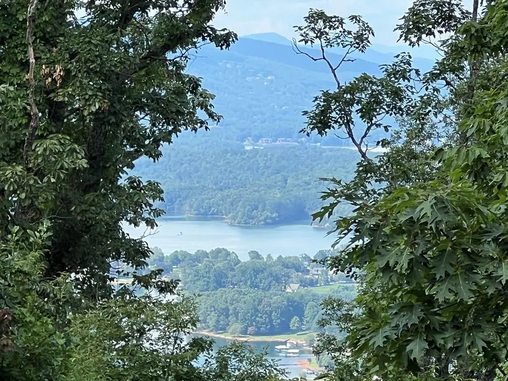 Lot 73M Ridges Overlook, Hayesville, NC 28904 - #1