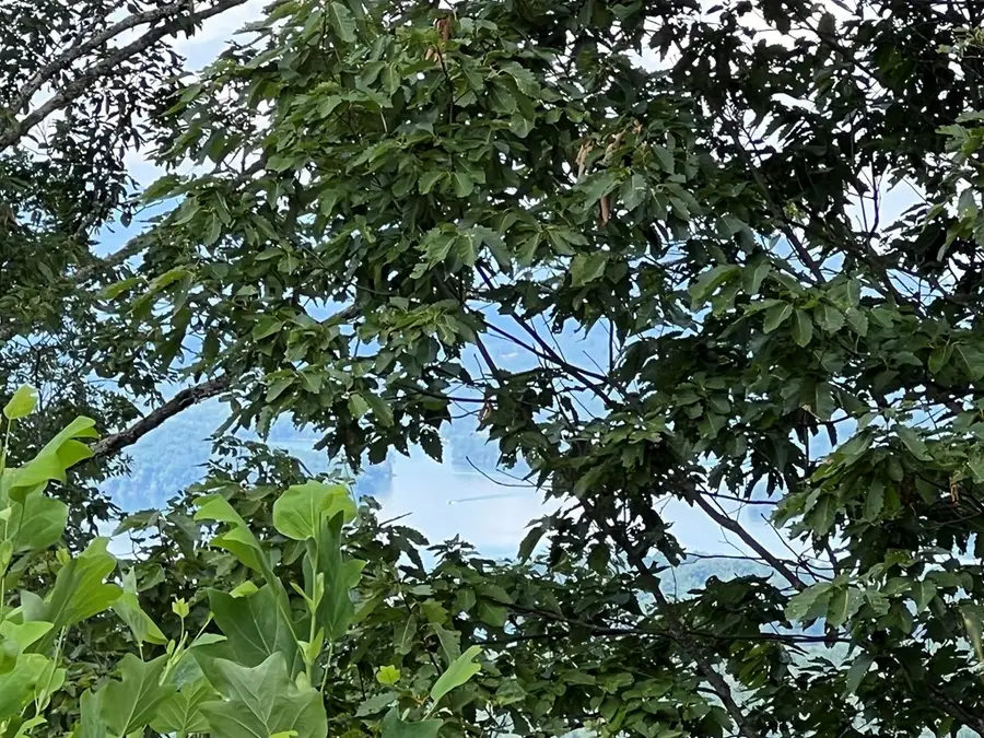 Lot 73M Ridges Overlook, Hayesville, NC 28904 - #2