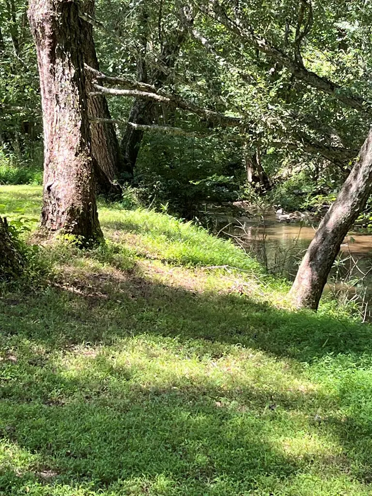 1529 Smithfield Lane, Young Harris, GA 30582 - Image #2