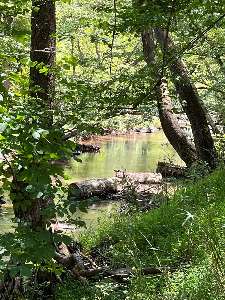 1529 Smithfield Lane, Young Harris, GA 30582 - Image #3