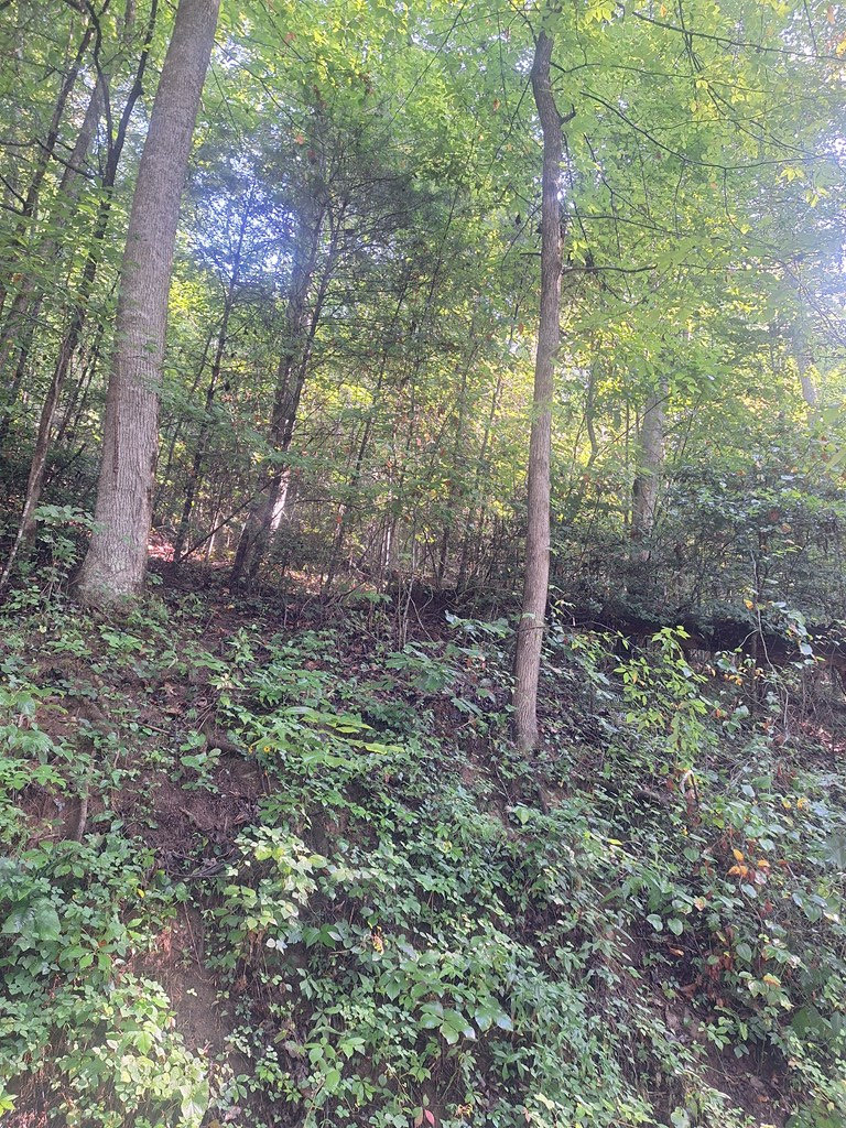 0 Coopers Creek, Suches, GA 30572 - Image #2