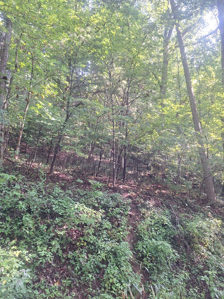 0 Coopers Creek, Suches, GA 30572 - Image #3