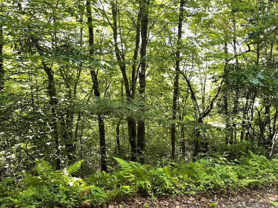 Lot 32 Big Cove Drive, Hiawassee, GA 30546 - Image #2