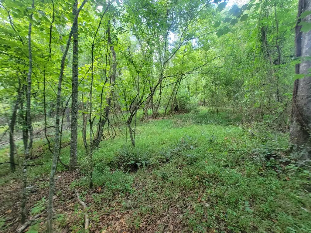 00 Old Hwy 64, Brasstown, NC 28902 - Image #1