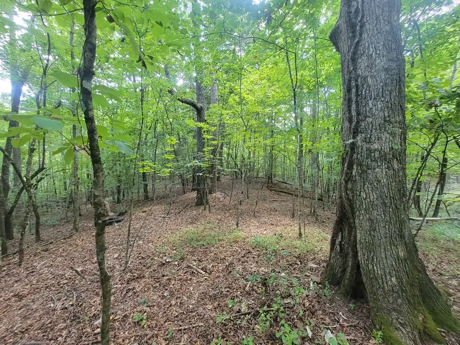 00 Old Hwy 64, Brasstown, NC 28902 - Image #3