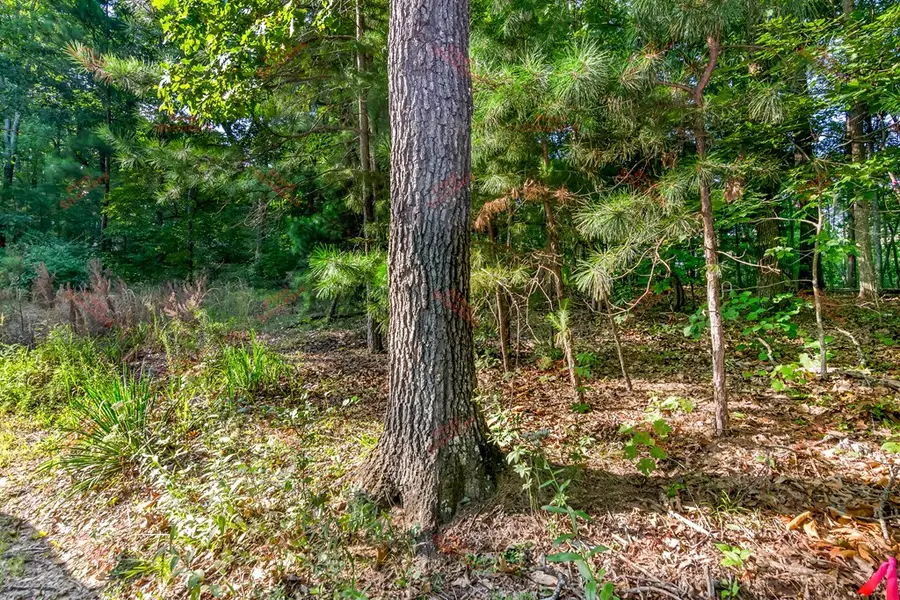 lot 6 Mission Hill Road, Ellijay, GA 30540 - #2