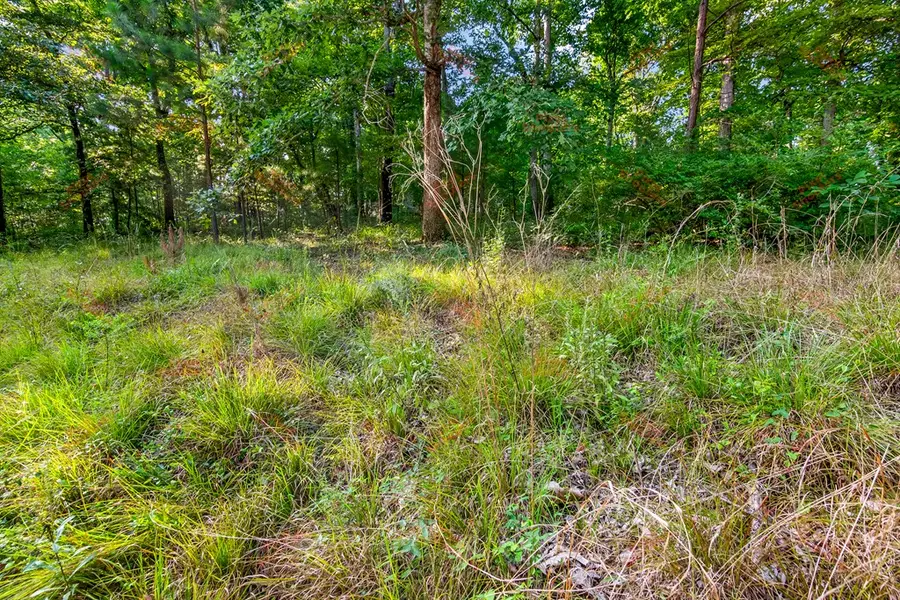 lot 6 Mission Hill Road, Ellijay, GA 30540 - #3