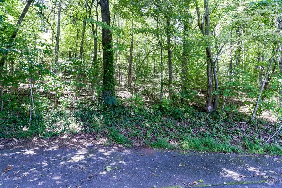 Lot #6 Kilpatrick Point Lane, Hayesville, NC 28904 - Image #3