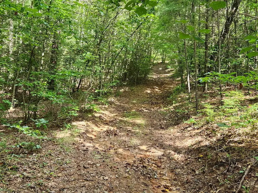 parcel 2 Singh Branch, Murphy, NC 28906 - #3