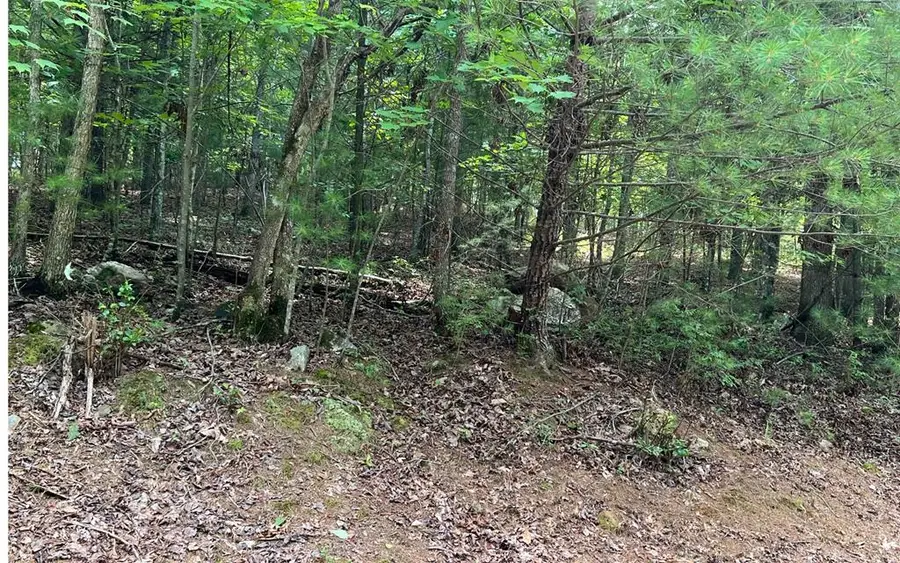 0 Maple Grove Road, Morganton, GA 30560 - Image #2