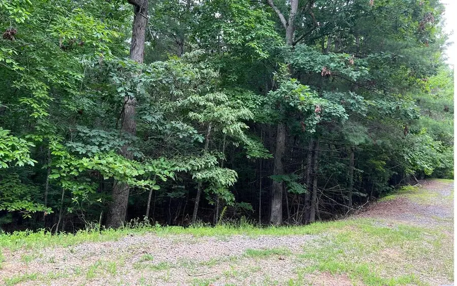 0 Maple Grove Road, Morganton, GA 30560 - Image #3