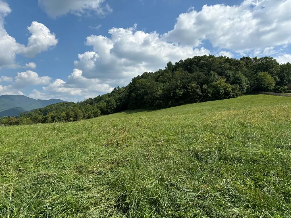 9.12-AC Mission Hill Road, Hayesville, NC 28904 - #1