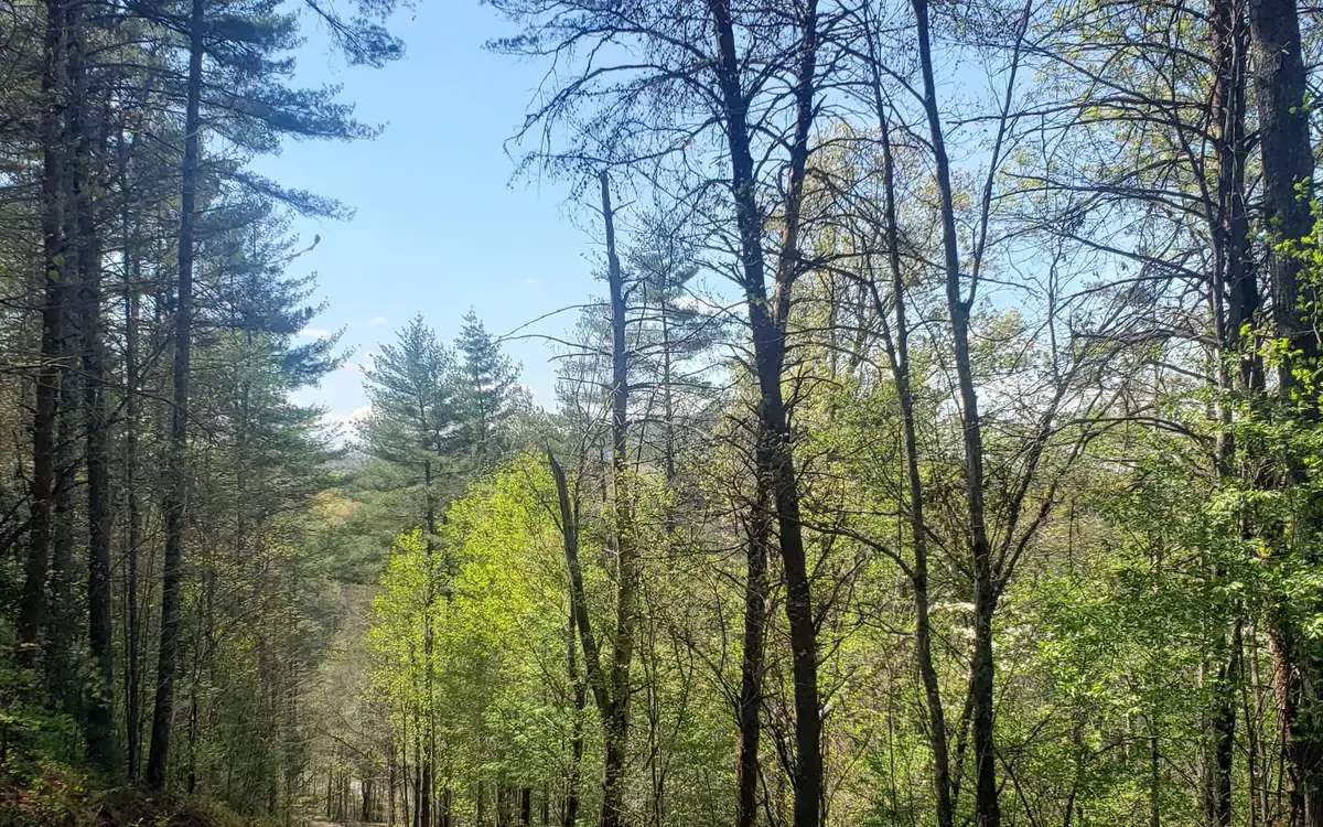 0 Whispering Creek Drive, Mineral Bluff, GA 30559 - Image #1