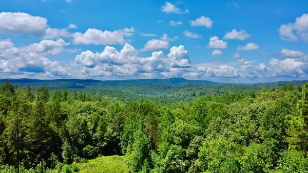 59 Seven Mile Creek Road, Ellijay, GA 30175