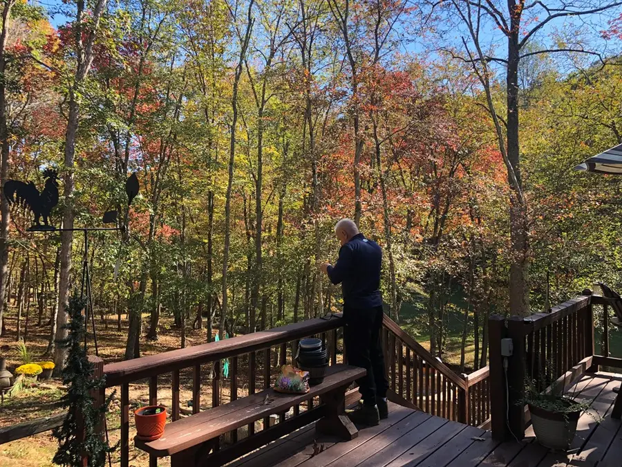 28 Wood Lane, Blue Ridge, GA 30513 - Image #3