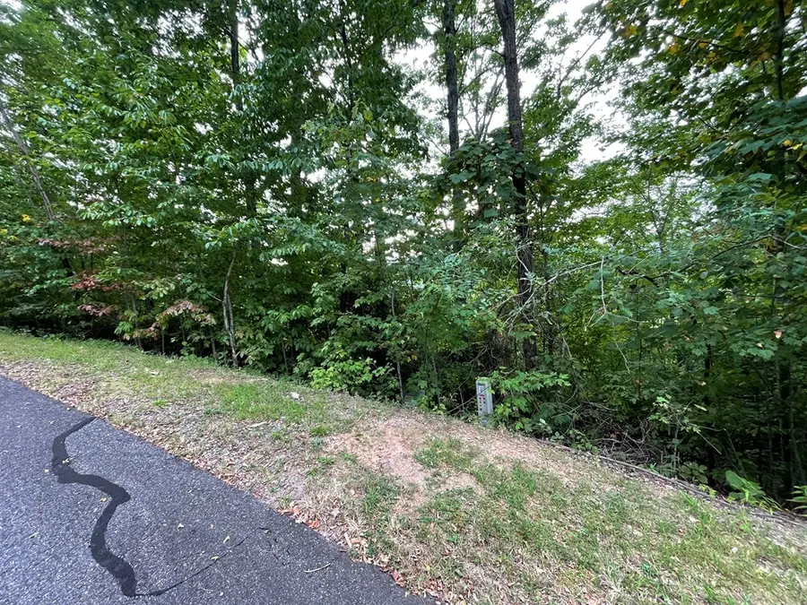 Lot 32 J Mountain Harbour Lot, Hiawassee, NC 29804 - Image #2