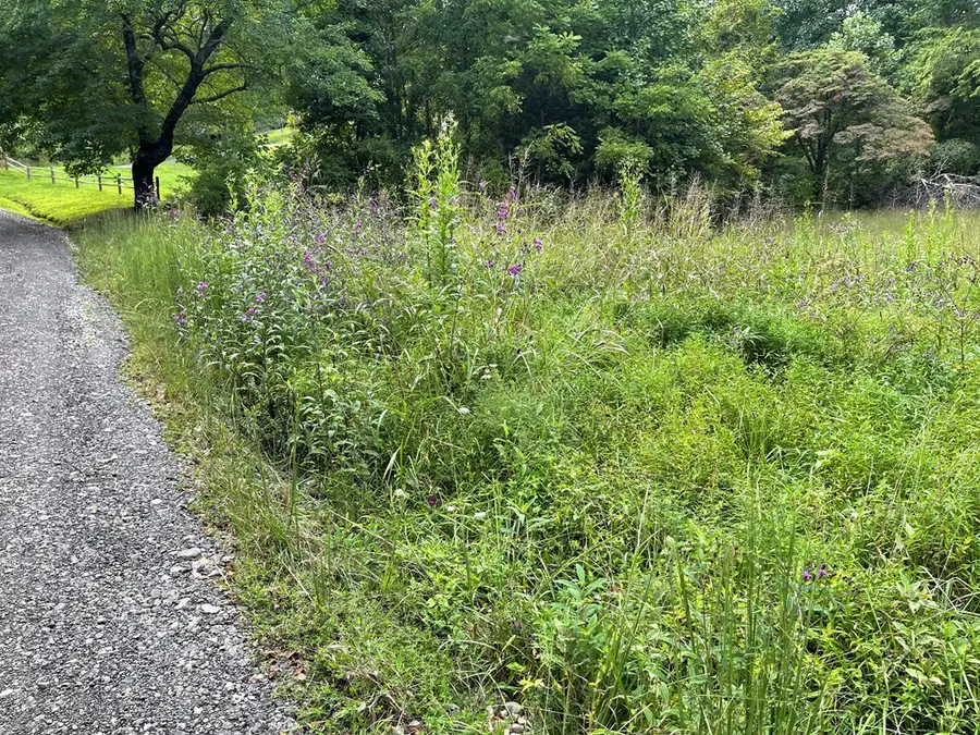 Lot 9 Sharons Valley Drive, Hayesville, NC 28904 - Image #2